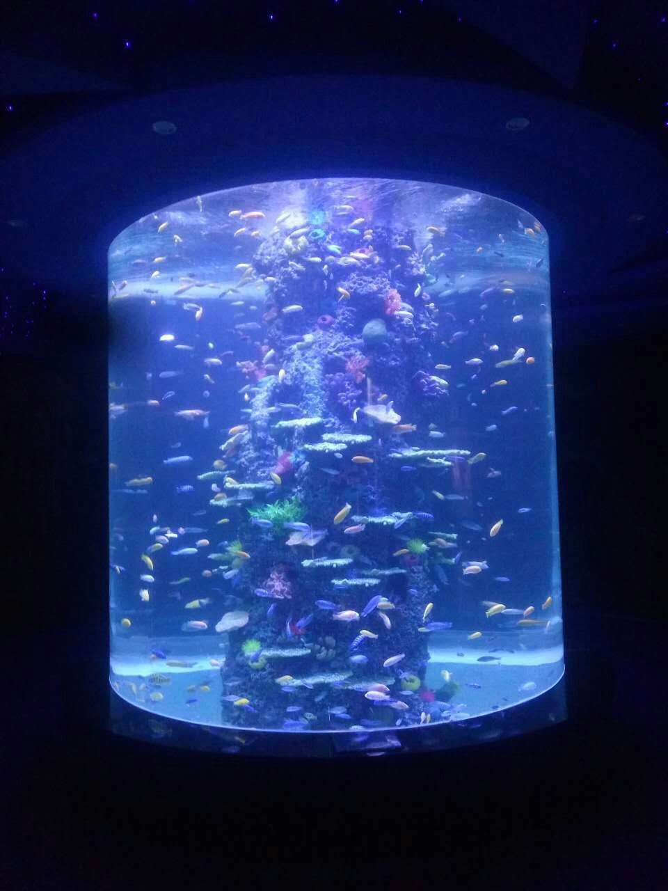 亞克力圓柱型魚缸