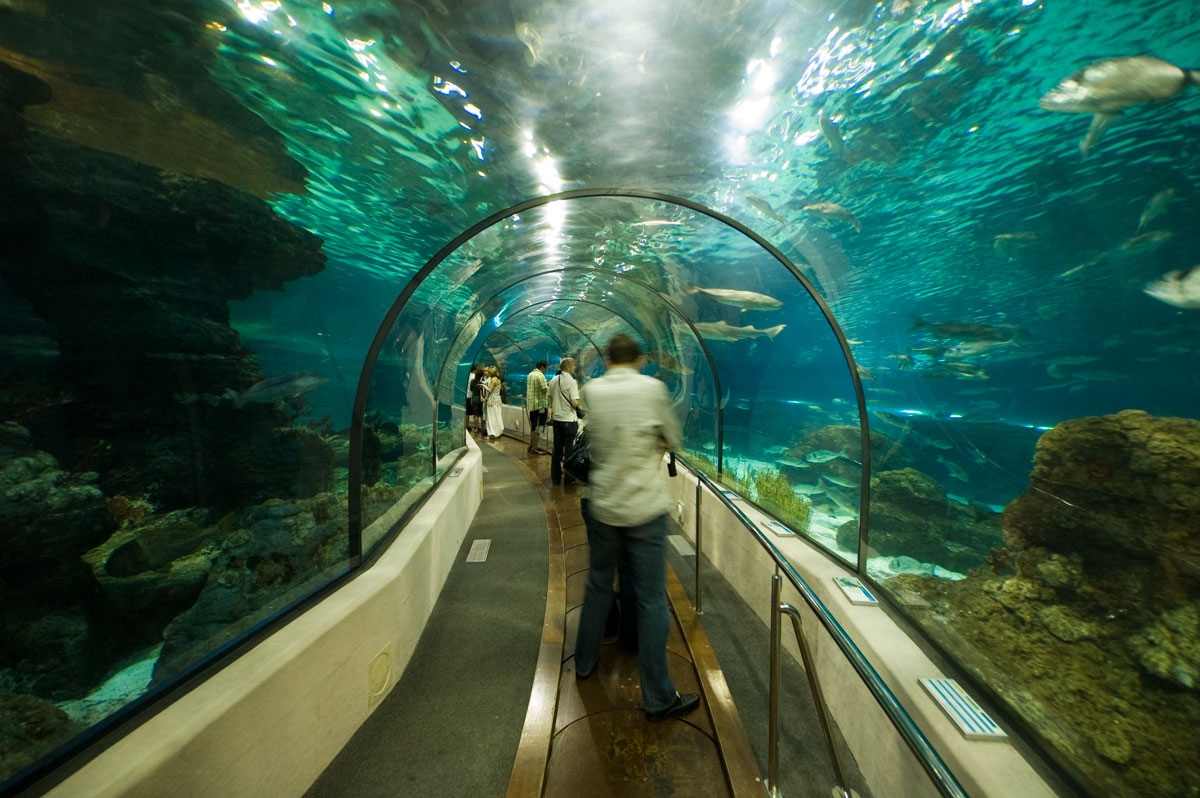 亞克力海洋館