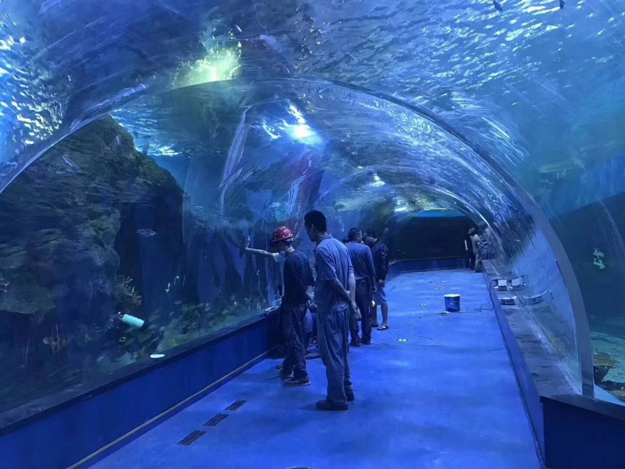 亞克力海洋館建設(shè)
