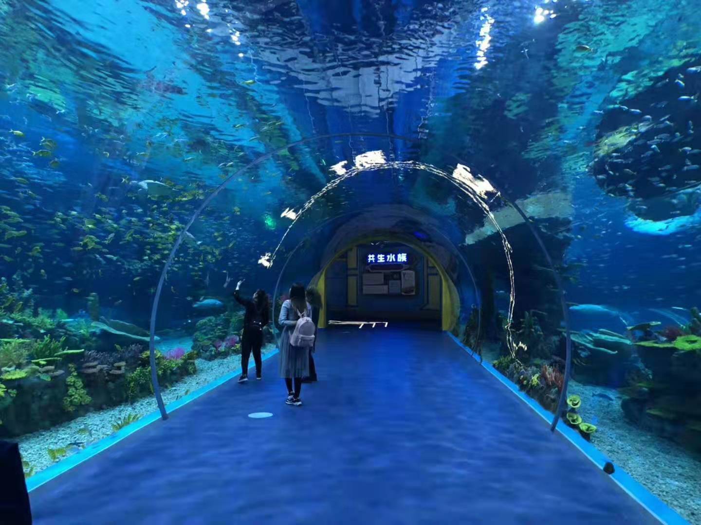 大型亞克力海洋館-海底世界游樂園